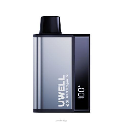 UWELL DL8000 tek kullanımlık elektronik sigara | UWELL Ankara siyah ejderha buz D6RV282