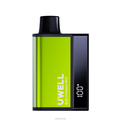 UWELL DL8000 tek kullanımlık elektronik sigara | UWELL Turkey ananas nane D6RV284