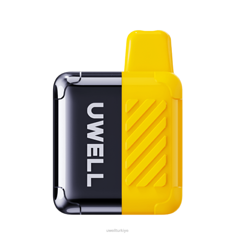 UWELL DM4000 tek kullanımlık elektronik sigara | UWELL Elektronik Sigara mango buzu D6RV306