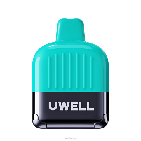 UWELL DN8000 tek kullanımlık elektronik sigara | UWELL Türkiye kivi guava D6RV311